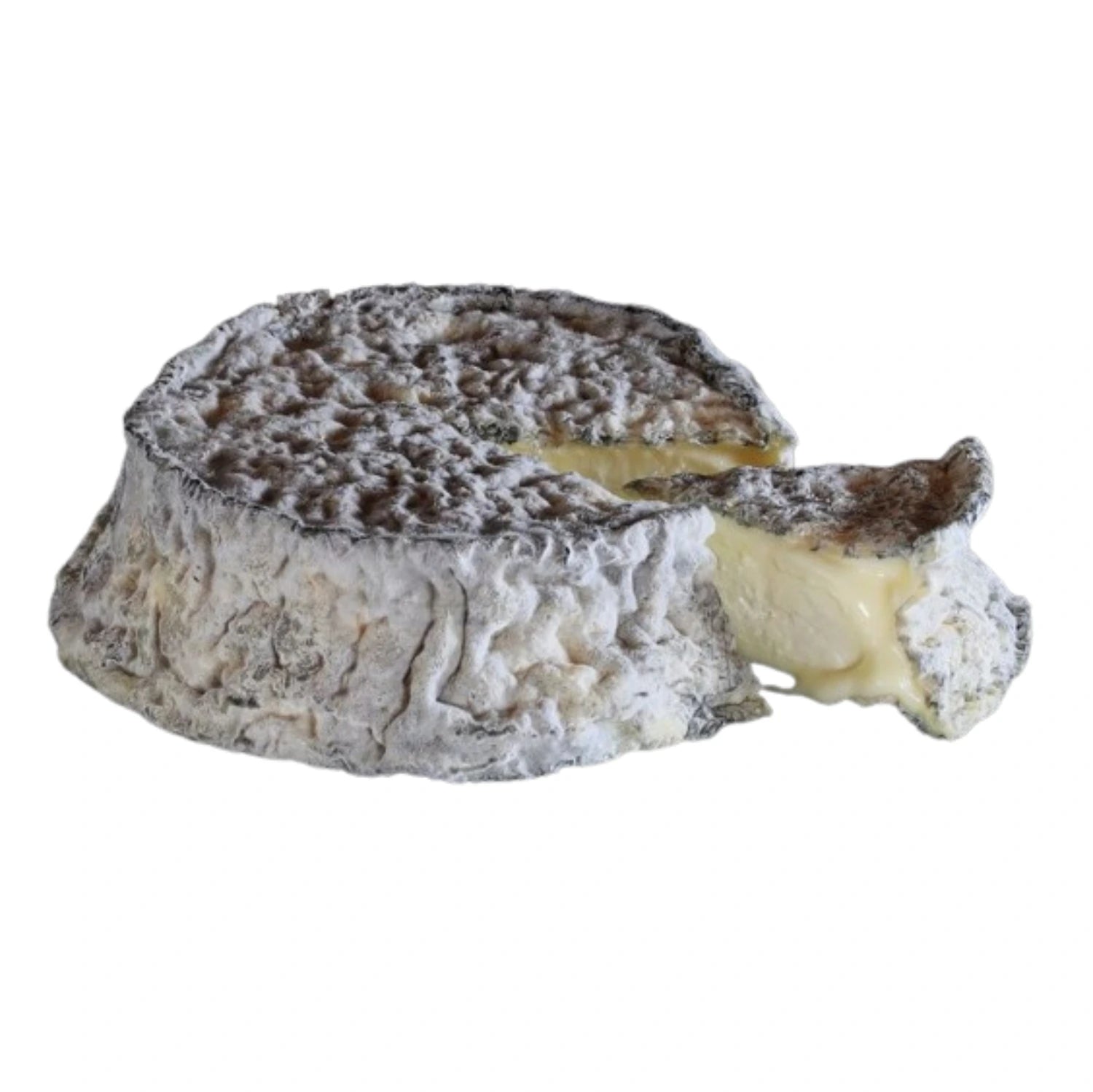 The interior paste of Selles sur Cher is soft, creamy, and ivory-colored, offering a delicate yet slightly crumbly texture that melts in your mouth. This cheese's refined texture and appearance make it not just a treat for the palate but also a visually appealing addition to any cheese platter.