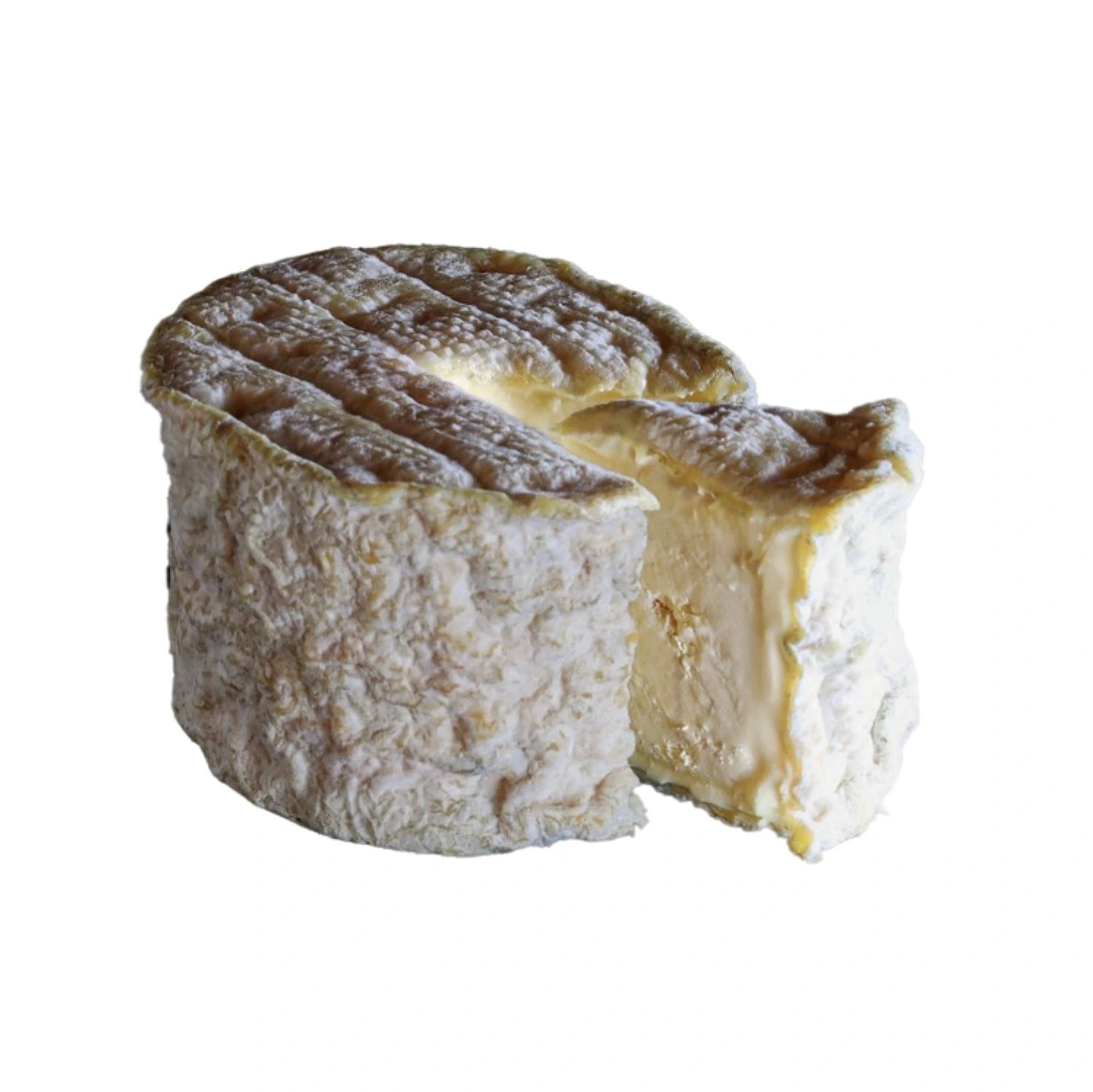 Bonde de Gâtine is a striking goat cheese, named after the bonde, a tool used to seal wine barrels. It boasts a distinctive, angled edge and a light gray rind, lightly dusted with vegetable charcoal ash. This ash coating imparts a subtle, earthy tone to the cheese's exterior, enhancing its unique character and flavor. Discover the traditional charm and exceptional taste of Bonde de Gâtine.