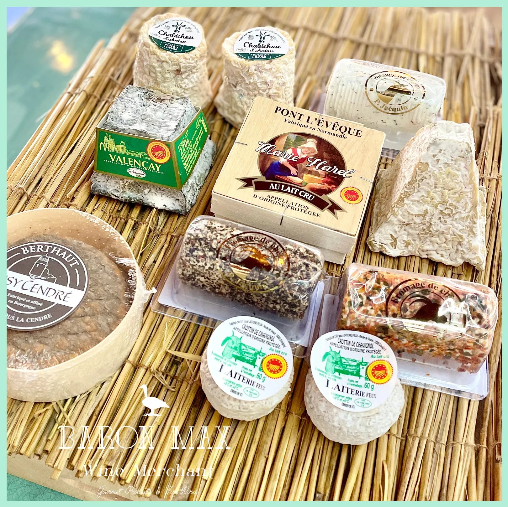 "Cheese Under the Sun" – Seasonal Cheese Platter