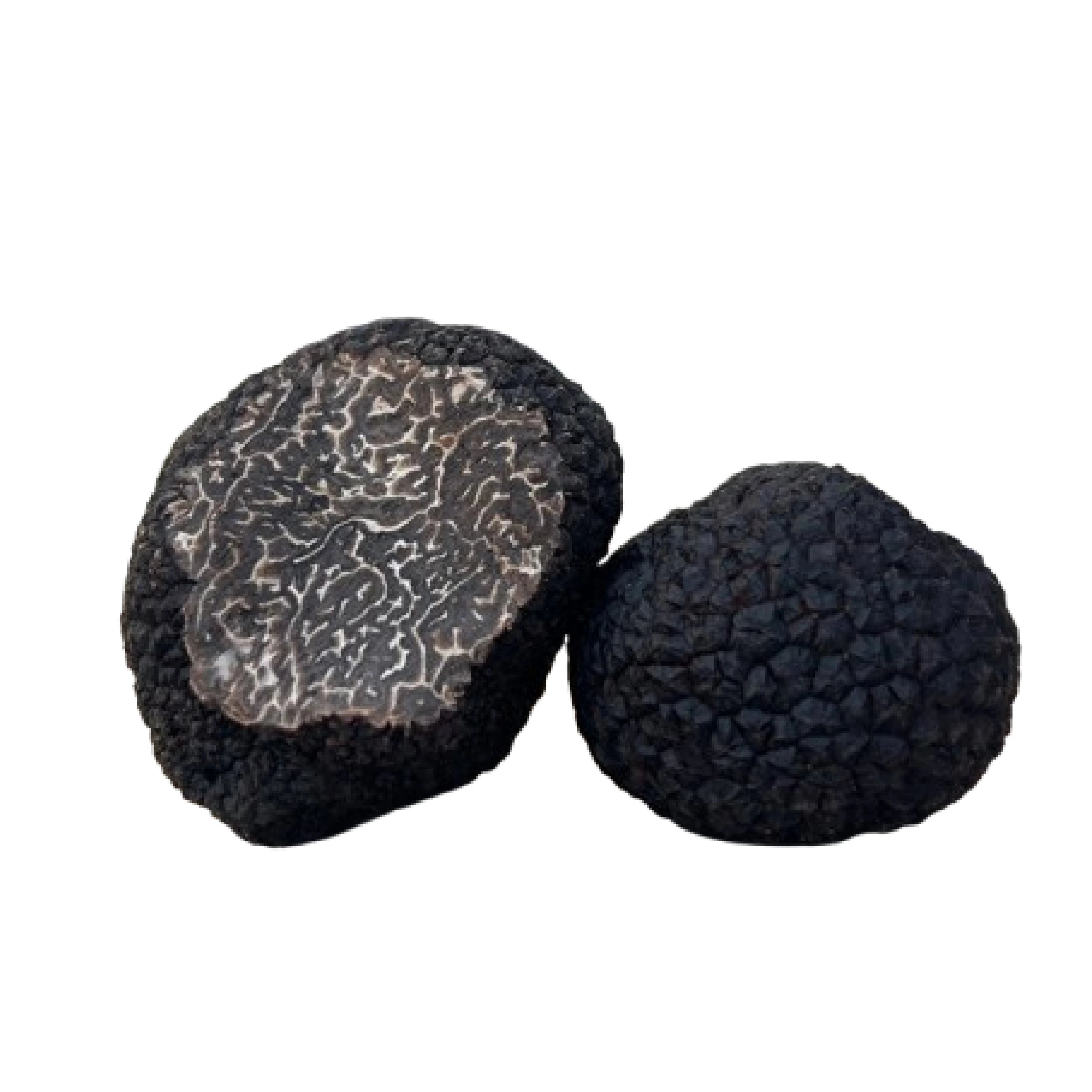 Pieces of black truffle Tuber melanosporum, Route de Terre, ideal for omelettes and poultry