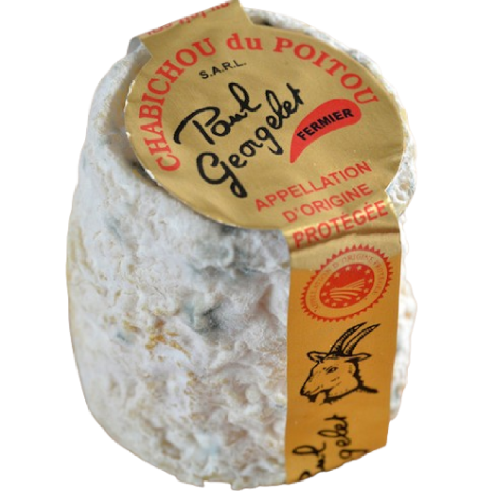 Close-up of Chabichou du Poitou, a creamy artisanal goat cheese with a bloomy rind and conical shape, ideal for cheese boards.