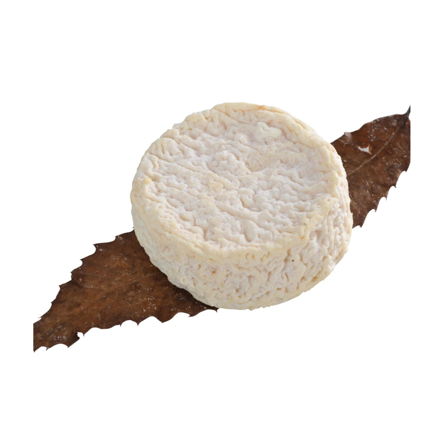 The Chèvrefeuille cheese is presented on a leaf, discover the delicious Pardoux from le Coteau.
