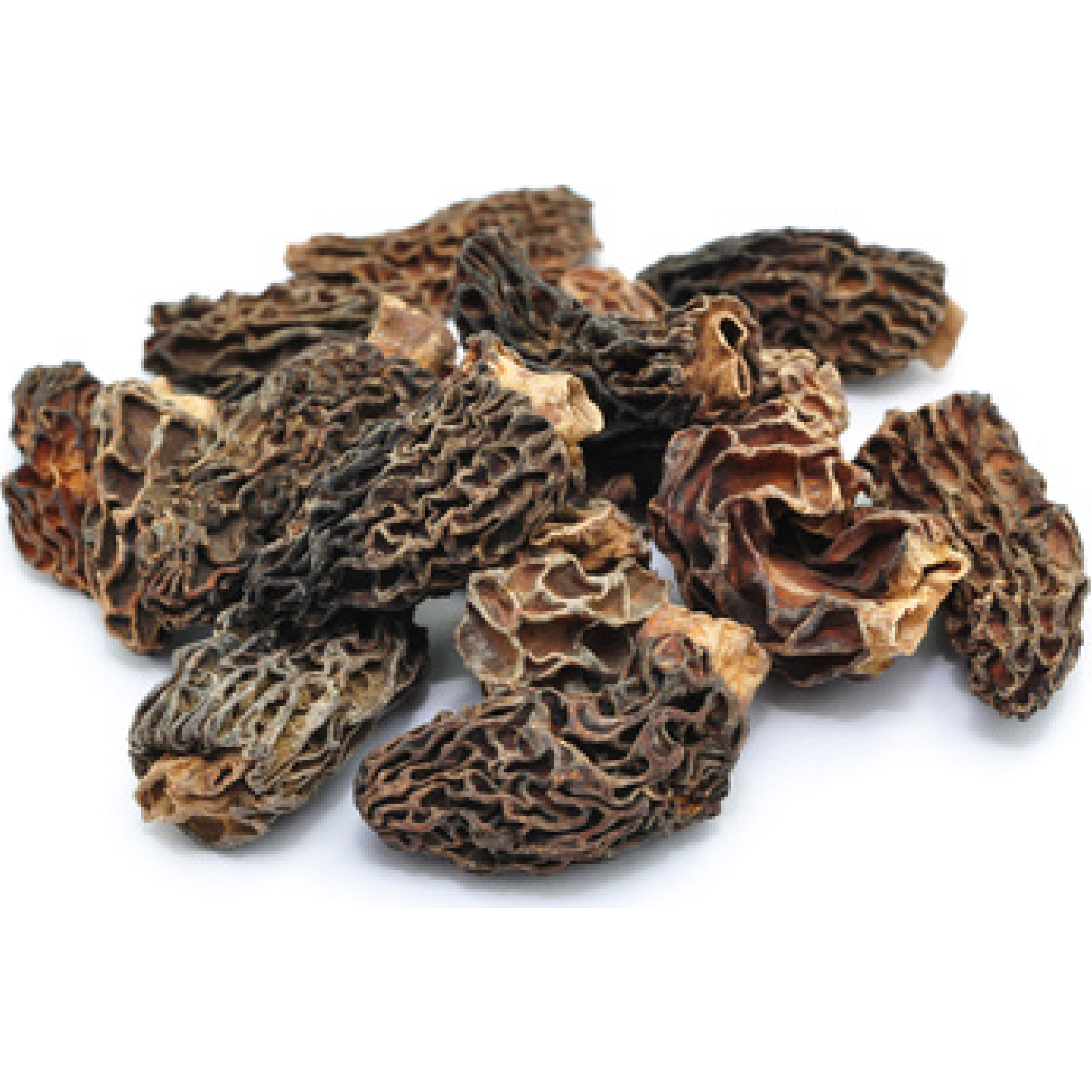 Jar of dried morel mushrooms 50g by Masse, showcasing premium wild mushrooms ideal for gourmet cooking and sauces.