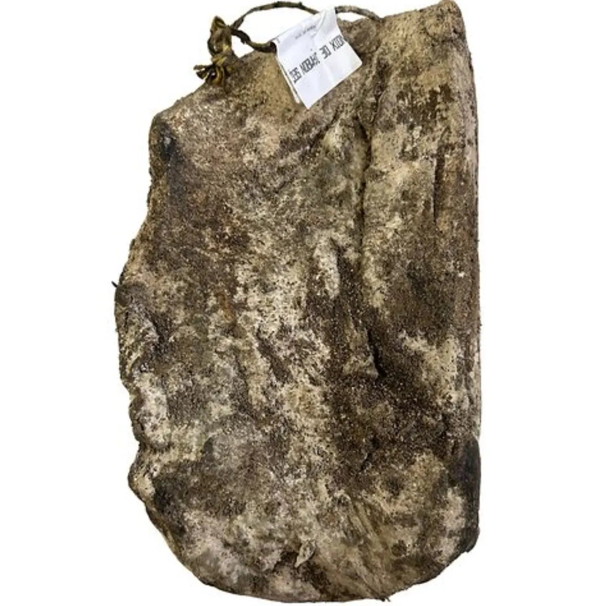 Dry-cured Corsican pork cushion – artisanal charcuterie with rich flavor and natural marbling, perfect for gourmet platters or slicing.