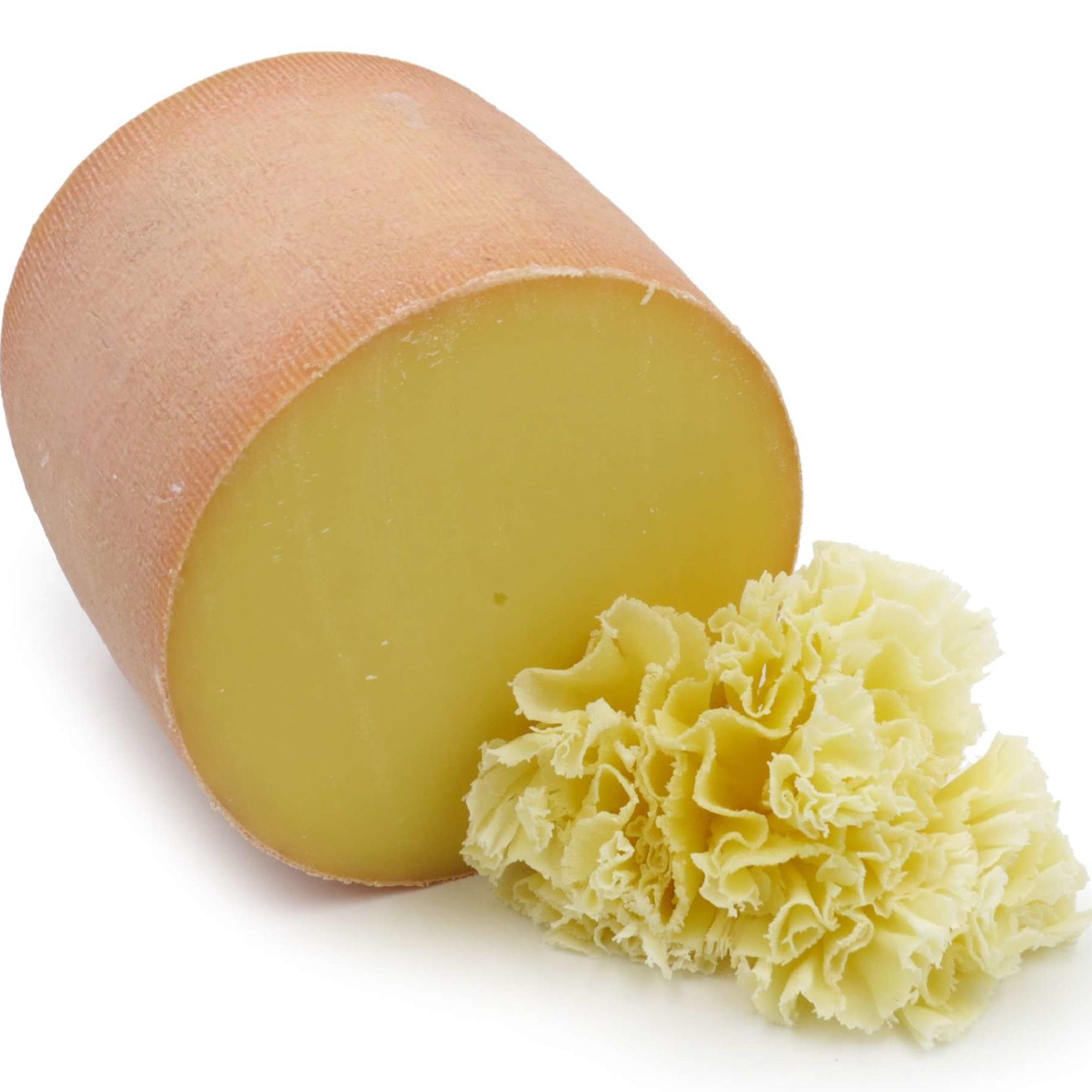 Tête de Moine AOP Swiss cheese wheel ~900g, traditionally shaved into rosettes with a girolle, offering creamy, nutty and tangy flavors.